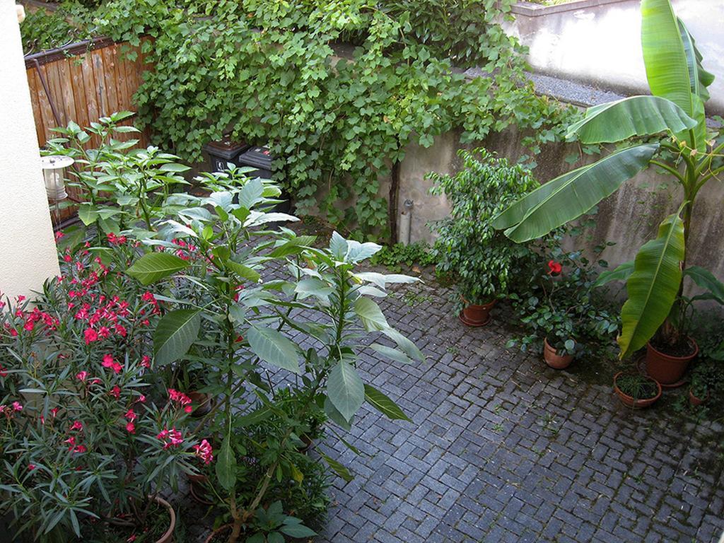 Die Sprachpension - The Language Guesthouse Vogtsburg Exterior foto
